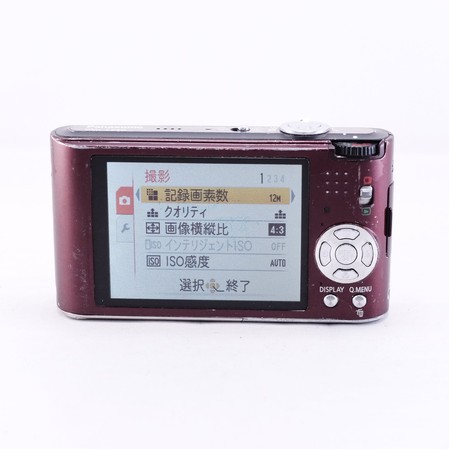 2009 Panasonic LUMIX DMC-FX60(メモリーカード&バッテリー/充電器付き)