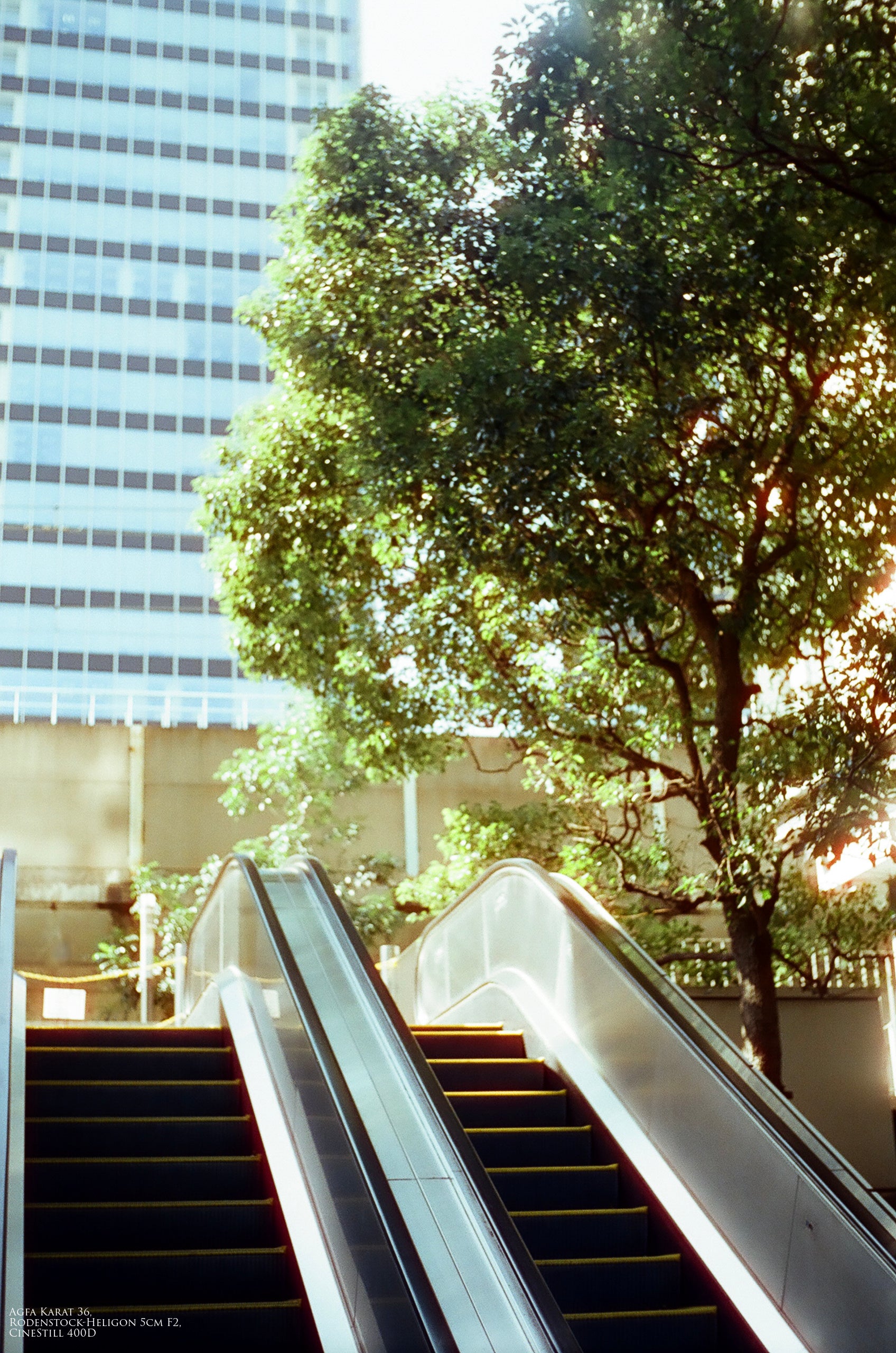 【Agfa】 Karat 36 + Rodenstock-Heligon 5cm F2 〈試写済〉 #1442144746529 | 東京CAMERA