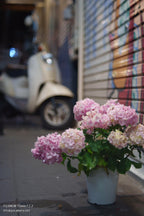 【Fujifilm】 FUJINON 55mm F2.2 [M42] 〈試写済〉#1823059033426 | 東京CAMERA