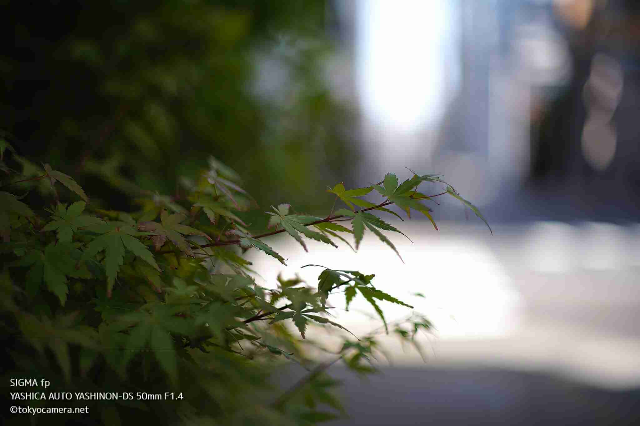 東京CAMERA